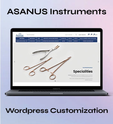 Wordpress Customization Asaninstrument Portfolio
